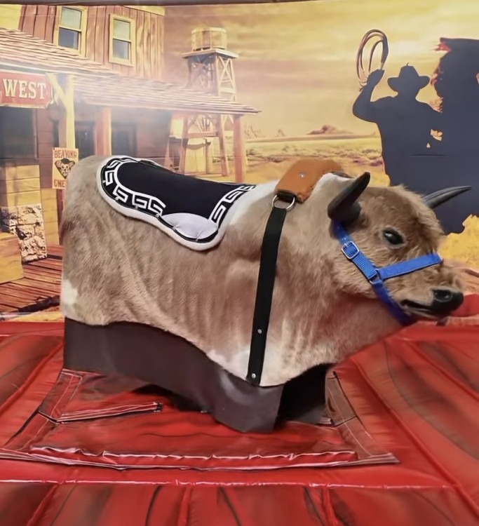 Mechanical Bull Mechanical Bull